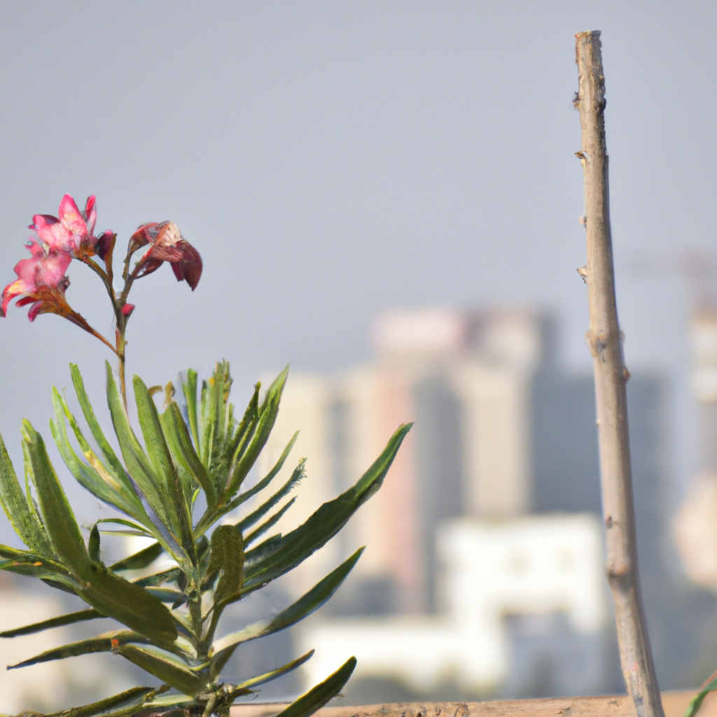 Hand-painted with elegance, canal art roses reflect a bygone era.