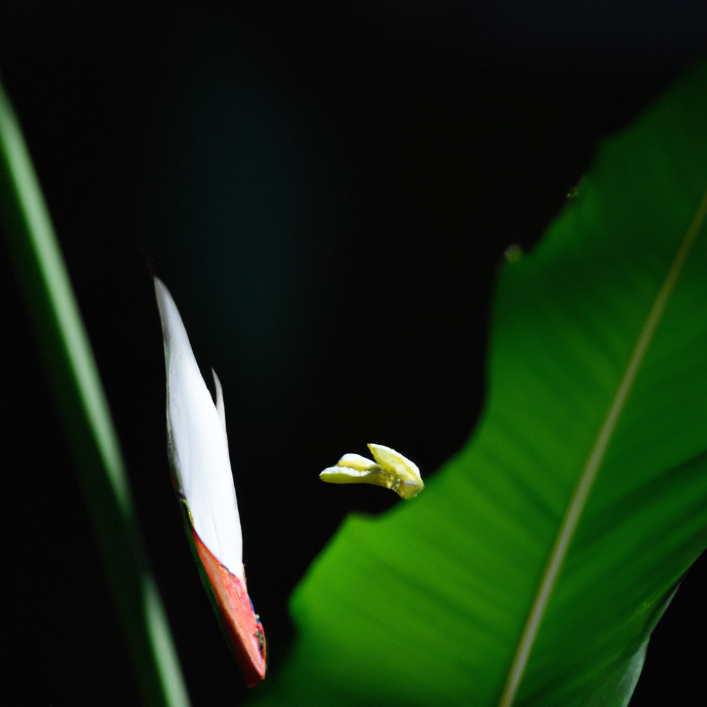 Tropical plants provide food and habitat for diverse animal and insect species.