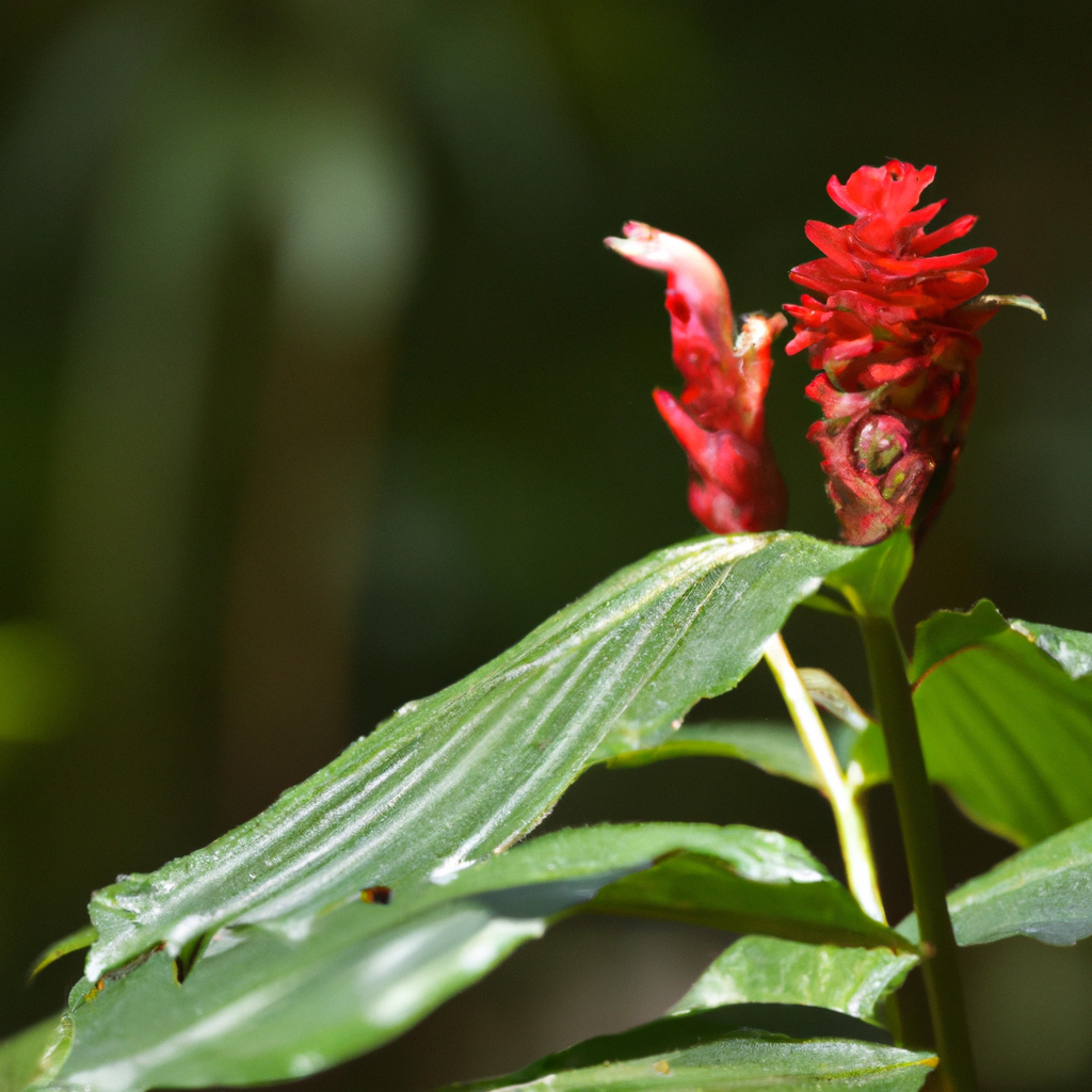 Therefore, protecting tropical plants is vital for the preservation of biodiversity.